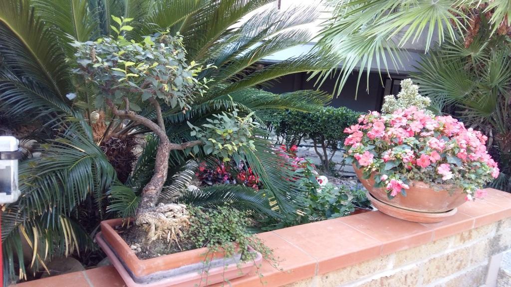 B&B Mirella Citta Sant'Angelo Exteriör bild